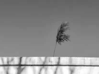 King Casino Mobilapp